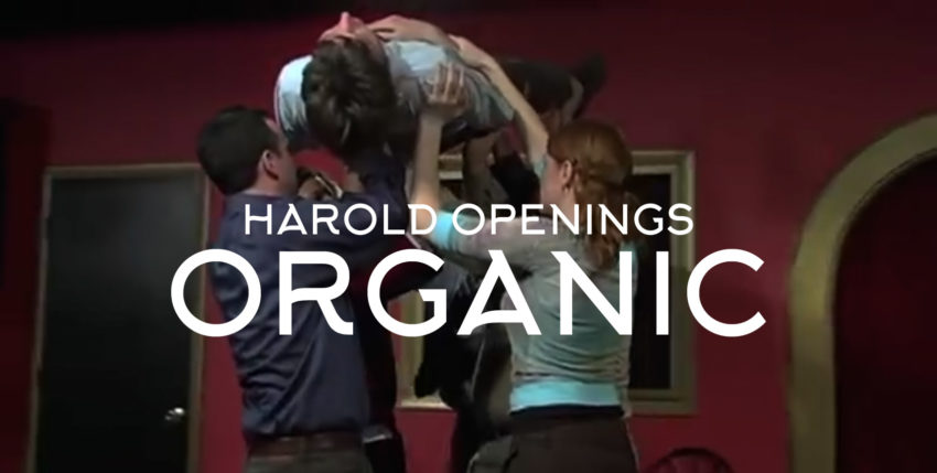 Harold Group Opening Organic